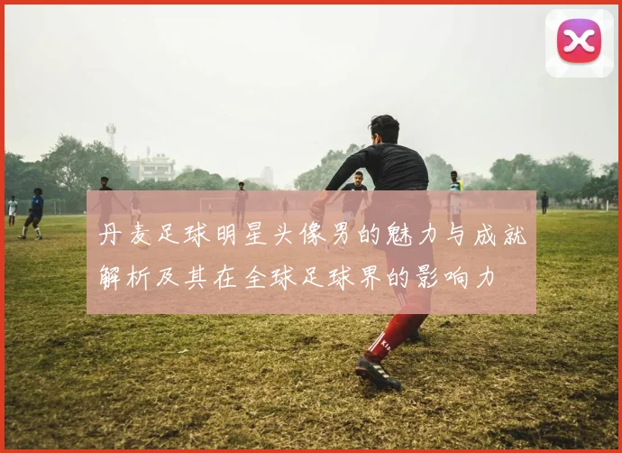 丹麦足球明星头像男的魅力与成就解析及其在全球足球界的影响力