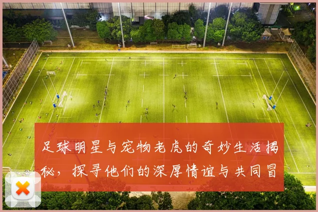 足球明星与宠物老虎的奇妙生活揭秘，探寻他们的深厚情谊与共同冒险