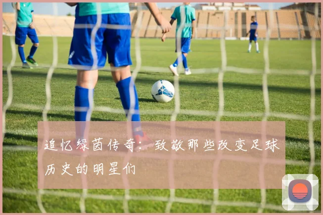 追忆绿茵传奇：致敬那些改变足球历史的明星们