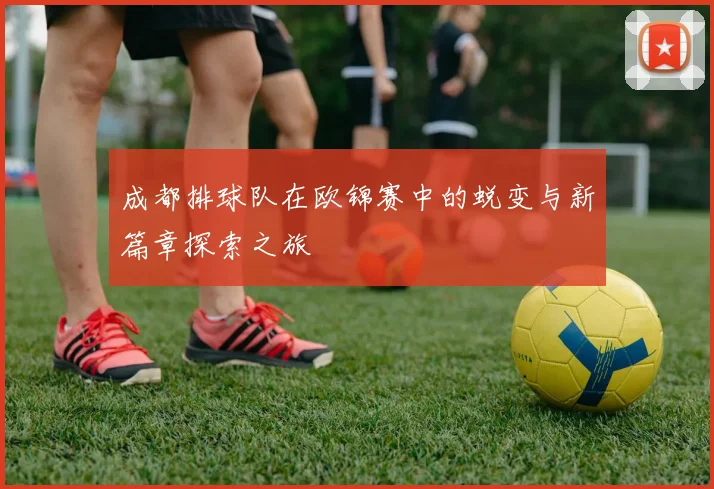 成都排球队在欧锦赛中的蜕变与新篇章探索之旅