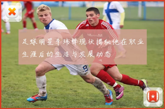 足球明星李玮锋现状揭秘他在职业生涯后的生活与发展动态