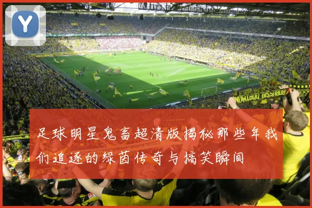 足球明星鬼畜超清版揭秘那些年我们追逐的绿茵传奇与搞笑瞬间