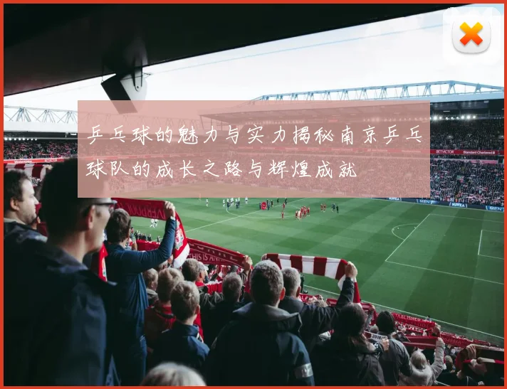 乒乓球的魅力与实力揭秘南京乒乓球队的成长之路与辉煌成就