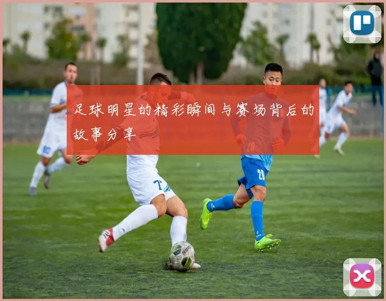 足球明星的精彩瞬间与赛场背后的故事分享