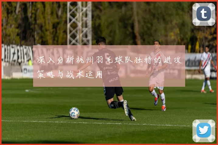 深入分析杭州羽毛球队独特的进攻策略与战术运用