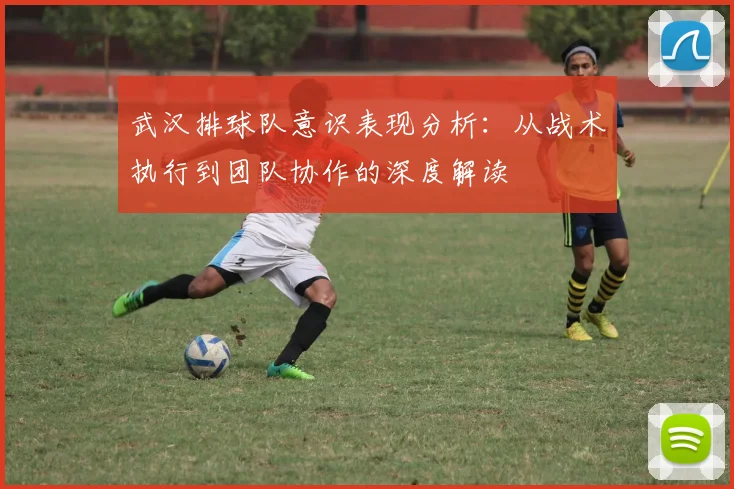 武汉排球队意识表现分析：从战术执行到团队协作的深度解读