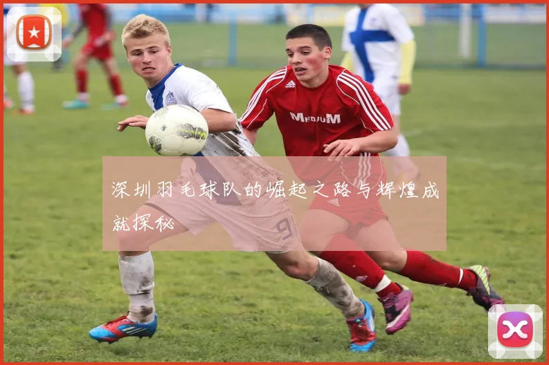 深圳羽毛球队的崛起之路与辉煌成就探秘