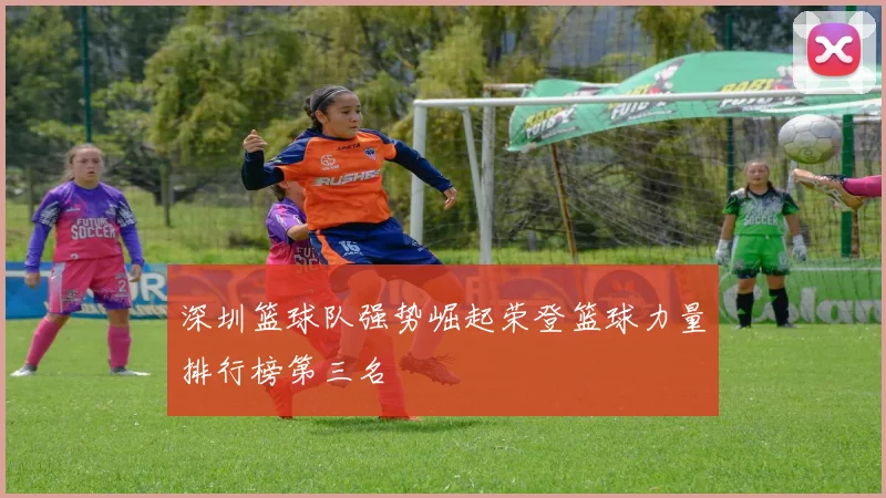 深圳篮球队强势崛起荣登篮球力量排行榜第三名
