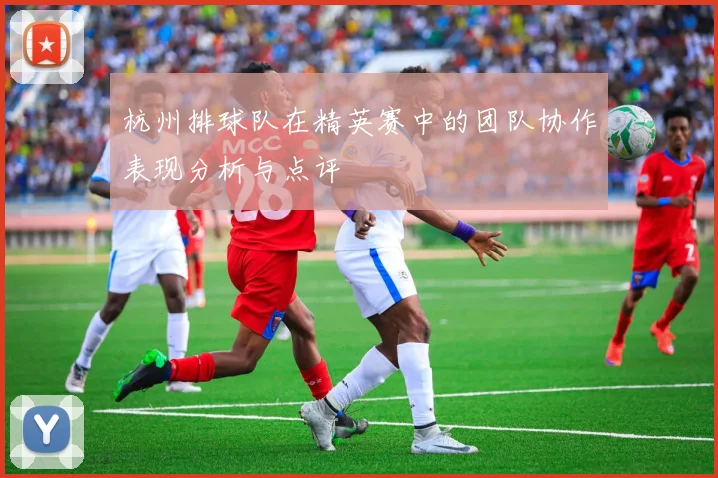 杭州排球队在精英赛中的团队协作表现分析与点评