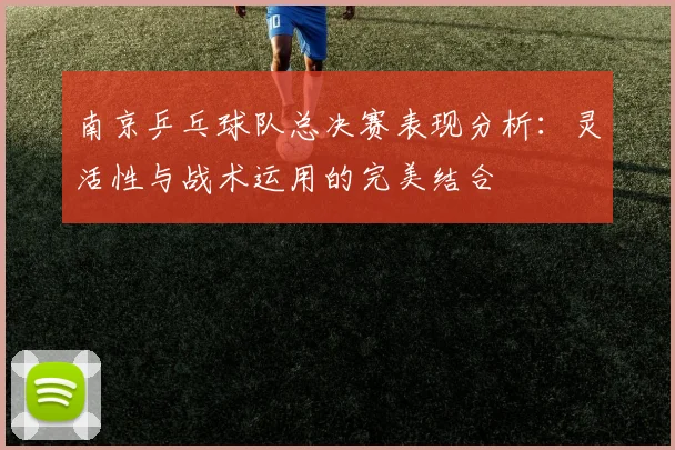 南京乒乓球队总决赛表现分析：灵活性与战术运用的完美结合