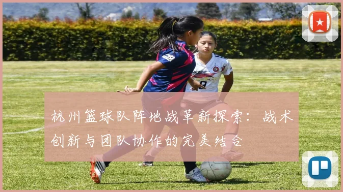 杭州篮球队阵地战革新探索：战术创新与团队协作的完美结合