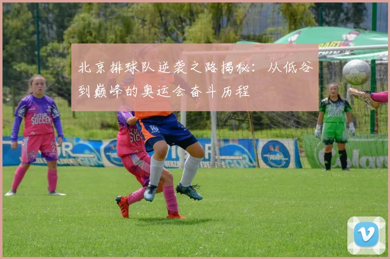 北京排球队逆袭之路揭秘：从低谷到巅峰的奥运会奋斗历程