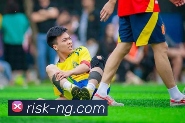 NG体育平台生态图